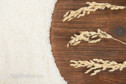 大米 從谷物到餐桌的飲食基石